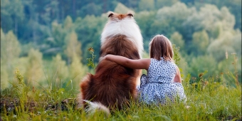 Занимательная этология biodog01