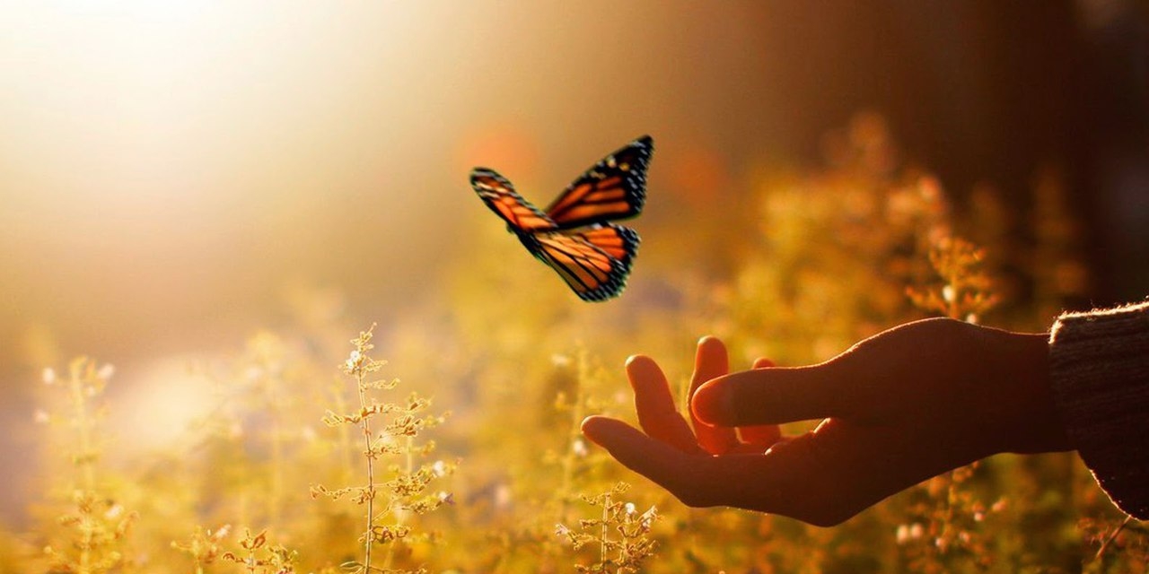 Прекрасное рядом — 1 год обучения pr01